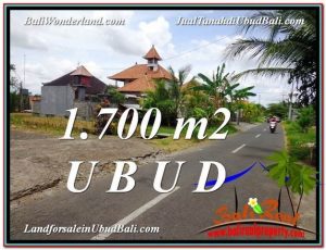 TANAH DIJUAL MURAH di UBUD BALI Untuk INVESTASI TJUB588