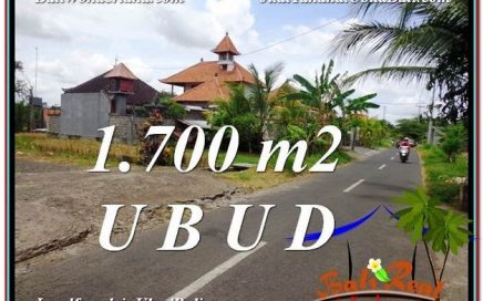 TANAH DIJUAL MURAH di UBUD BALI Untuk INVESTASI TJUB588