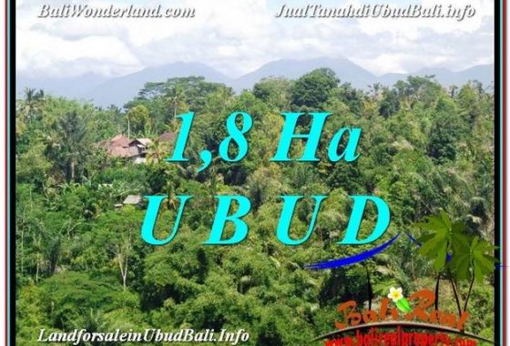 TANAH di UBUD DIJUAL MURAH 18,000 m2 di Ubud Tegalalang