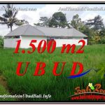 TANAH di UBUD BALI DIJUAL MURAH Untuk INVESTASI TJUB600