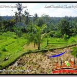 TANAH MURAH DIJUAL di UBUD BALI Untuk INVESTASI TJUB601