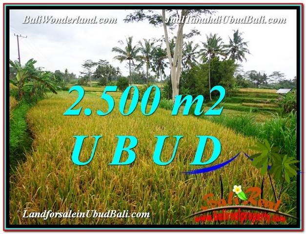 TANAH di UBUD DIJUAL MURAH TJUB577