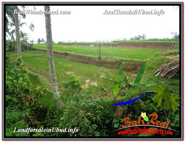 DIJUAL TANAH di UBUD 4 Are di Ubud Tegalalang