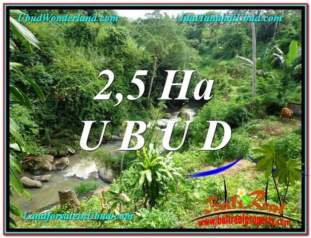 DIJUAL MURAH TANAH di UBUD BALI Untuk INVESTASI TJUB579