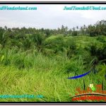 DIJUAL MURAH TANAH di UBUD BALI Untuk INVESTASI TJUB579