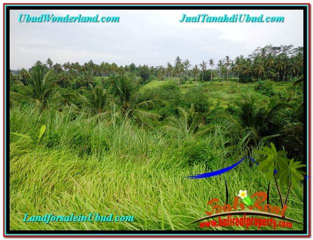 DIJUAL MURAH TANAH di UBUD BALI Untuk INVESTASI TJUB579