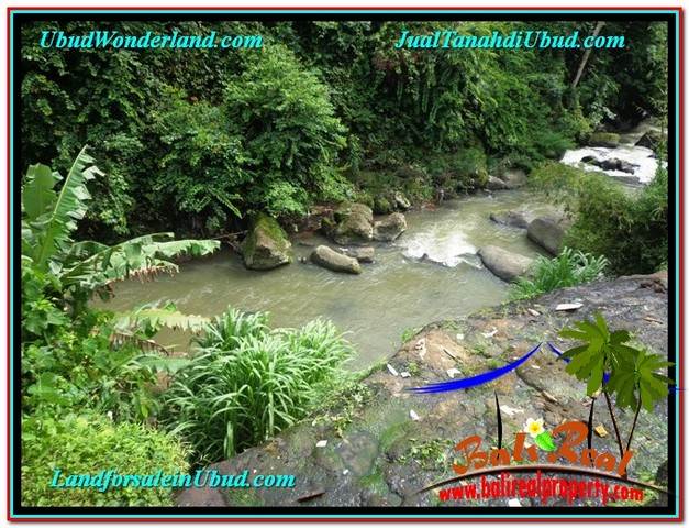 DIJUAL MURAH TANAH di UBUD BALI Untuk INVESTASI TJUB579