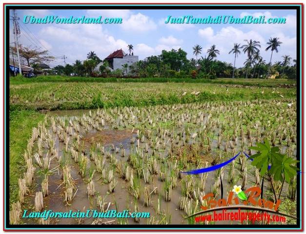 INVESTASI PROPERTY, JUAL TANAH MURAH di UBUD BALI TJUB580