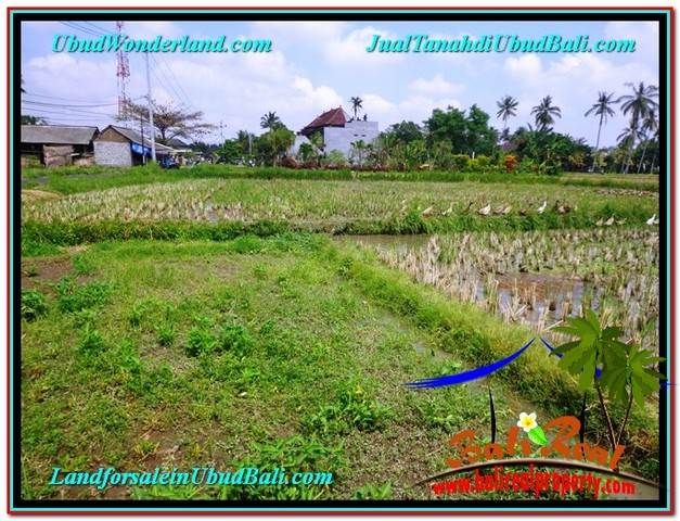 INVESTASI PROPERTY, JUAL TANAH MURAH di UBUD BALI TJUB580