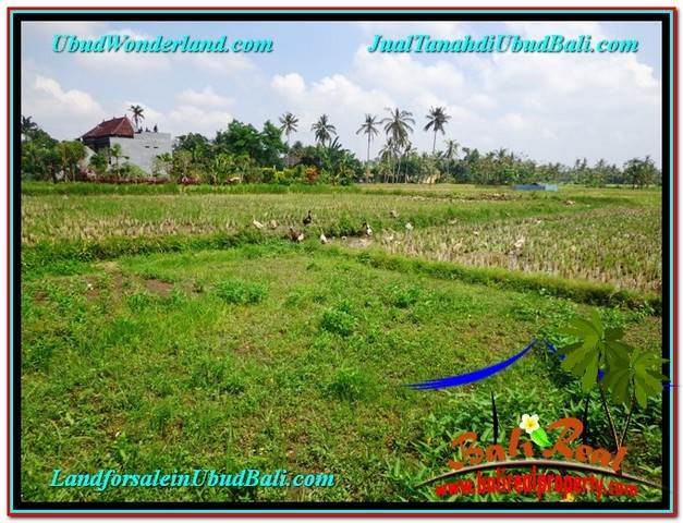 INVESTASI PROPERTY, JUAL TANAH MURAH di UBUD BALI TJUB580