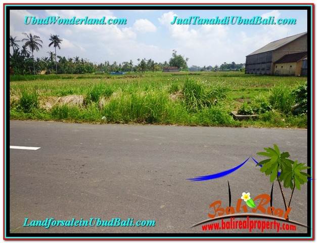 INVESTASI PROPERTY, JUAL TANAH MURAH di UBUD BALI TJUB580