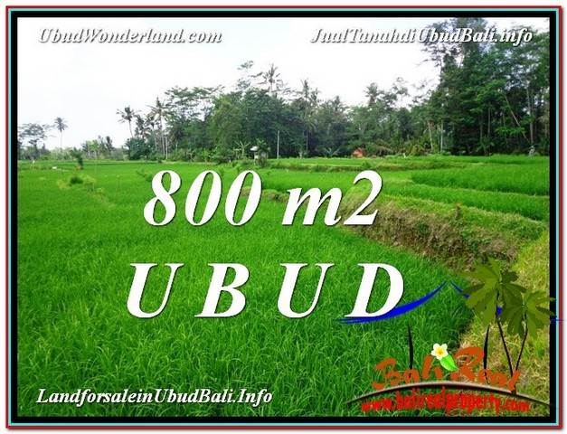 INVESTASI PROPERTY, JUAL TANAH di UBUD BALI TJUB581