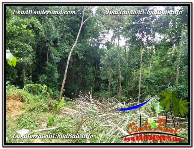 INVESTASI PROPERTY, JUAL TANAH di UBUD BALI TJUB581