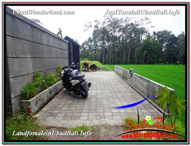 INVESTASI PROPERTY, JUAL TANAH di UBUD BALI TJUB581