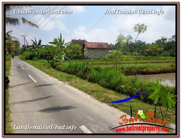 TANAH DIJUAL MURAH di UBUD Untuk INVESTASI TJUB582