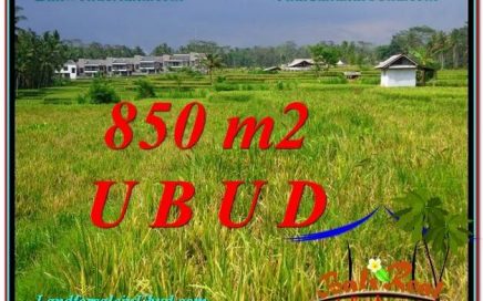 TANAH MURAH JUAL UBUD 850 m2 View Sawah link Villa