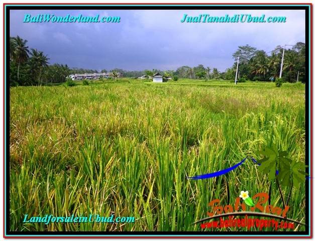 TANAH MURAH JUAL UBUD 850 m2 View Sawah link Villa