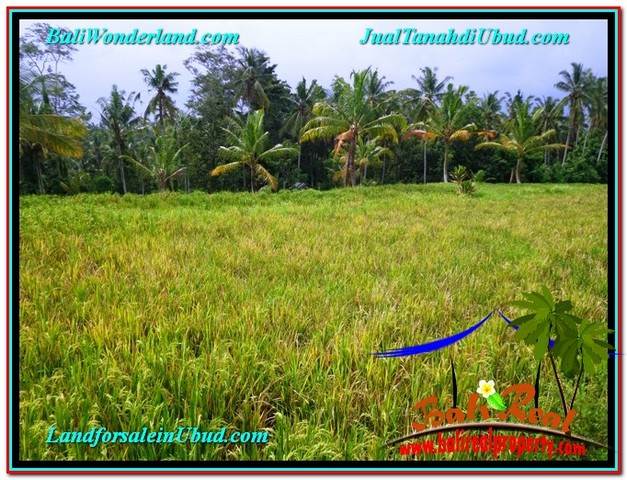 TANAH MURAH JUAL UBUD 850 m2 View Sawah link Villa