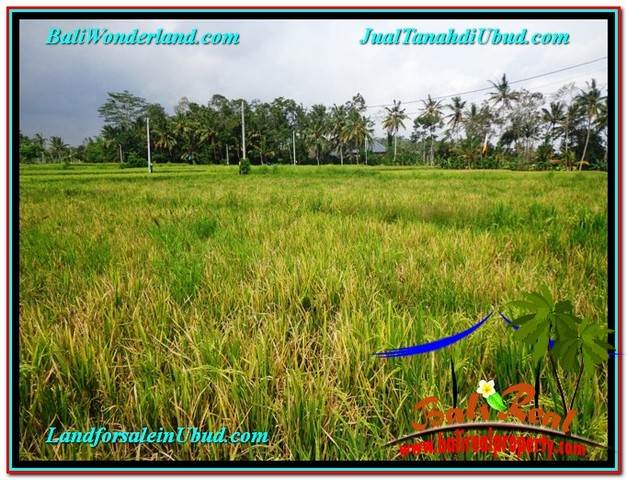 TANAH MURAH JUAL UBUD 850 m2 View Sawah link Villa