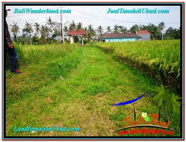 TANAH MURAH JUAL UBUD 850 m2 View Sawah link Villa