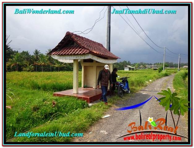 TANAH MURAH JUAL UBUD 850 m2 View Sawah link Villa