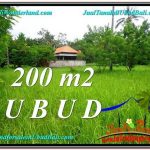 JUAL TANAH di UBUD 2 Are View Kebun Link Villa