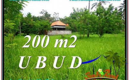 JUAL TANAH di UBUD 2 Are View Kebun Link Villa