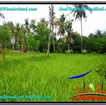 JUAL TANAH di UBUD 2 Are View Kebun Link Villa