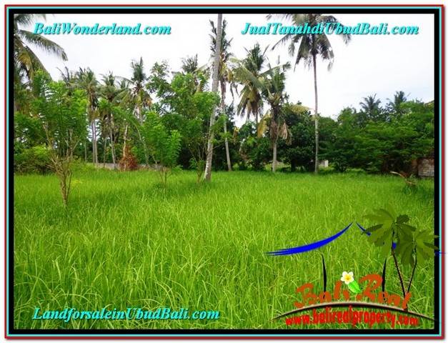 JUAL TANAH di UBUD 2 Are View Kebun Link Villa