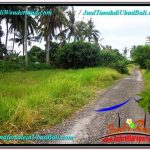 JUAL TANAH di UBUD 2 Are View Kebun Link Villa