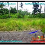 JUAL TANAH di UBUD 2 Are View Kebun Link Villa