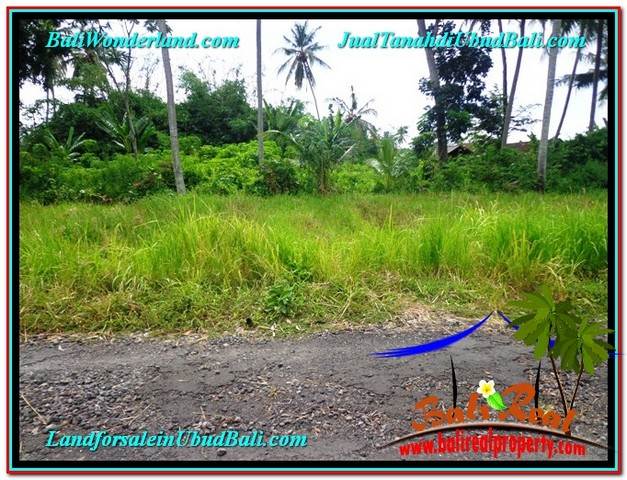 JUAL TANAH di UBUD 2 Are View Kebun Link Villa