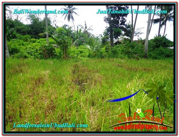 JUAL TANAH di UBUD 2 Are View Kebun Link Villa