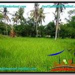 JUAL TANAH di UBUD 2 Are View Kebun Link Villa