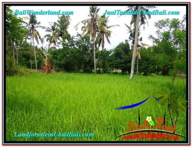 JUAL TANAH di UBUD 2 Are View Kebun Link Villa