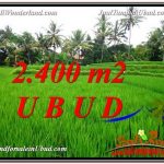 JUAL MURAH TANAH di UBUD 24 Are View Sawah link Villa