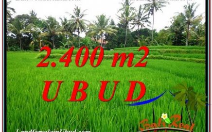 JUAL MURAH TANAH di UBUD 24 Are View Sawah link Villa