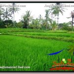 JUAL MURAH TANAH di UBUD 24 Are View Sawah link Villa