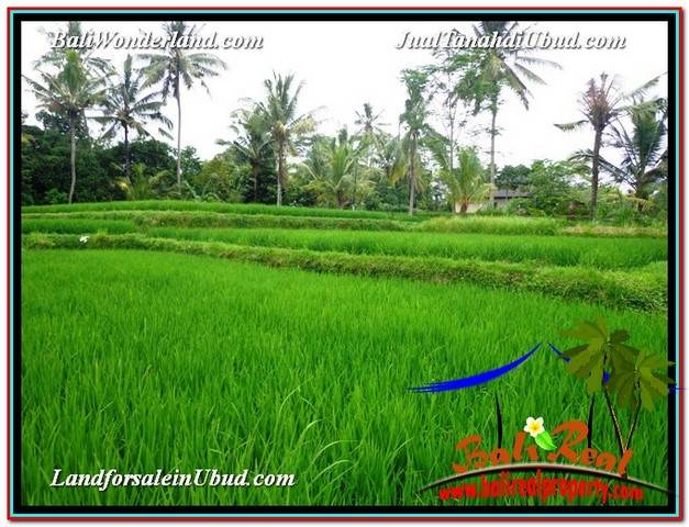 JUAL MURAH TANAH di UBUD 24 Are View Sawah link Villa