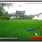 JUAL MURAH TANAH di UBUD 24 Are View Sawah link Villa