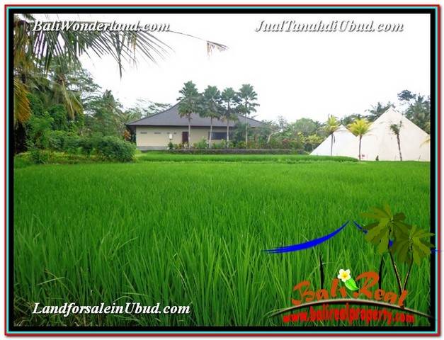 JUAL MURAH TANAH di UBUD 24 Are View Sawah link Villa