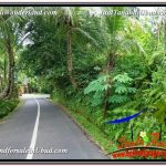 JUAL MURAH TANAH di UBUD 24 Are View Sawah link Villa