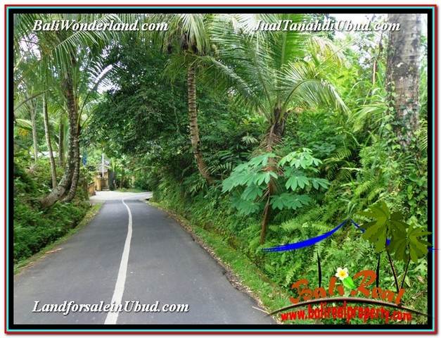 JUAL MURAH TANAH di UBUD 24 Are View Sawah link Villa