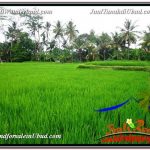 JUAL MURAH TANAH di UBUD 24 Are View Sawah link Villa