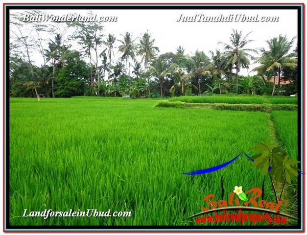 JUAL MURAH TANAH di UBUD 24 Are View Sawah link Villa