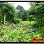 JUAL MURAH TANAH di UBUD 24 Are View Sawah link Villa