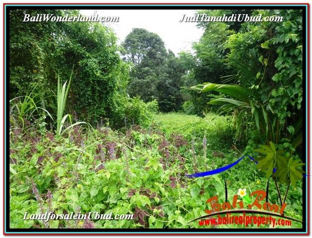 JUAL MURAH TANAH di UBUD 24 Are View Sawah link Villa