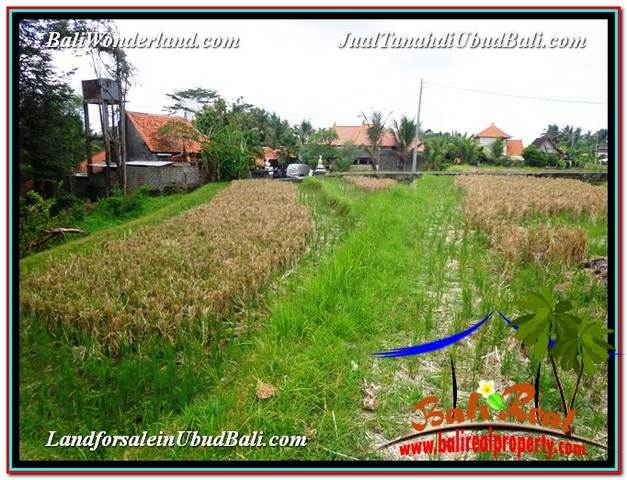 TANAH MURAH di UBUD BALI TJUB588