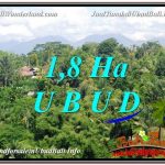 TANAH di UBUD DIJUAL MURAH TJUB589