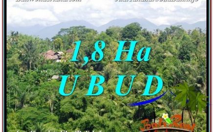 TANAH di UBUD DIJUAL MURAH TJUB589